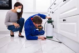 Best Residential Pest Control  in Laporte, CO